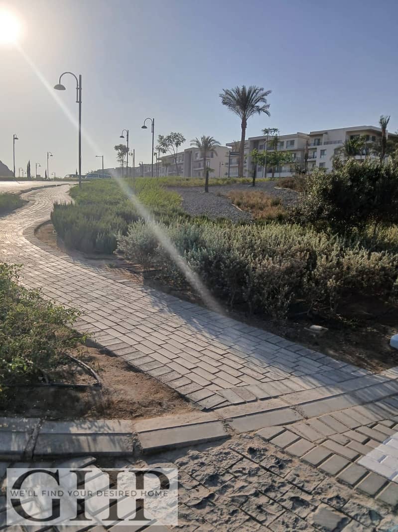 4 bba466e7-fe7f-4960-bec7-de56e2484df8. jpg