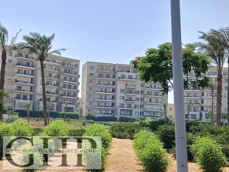 5 bc5bfb8b-c9c3-471d-8e21-dd0ebda3a3ff. jpg