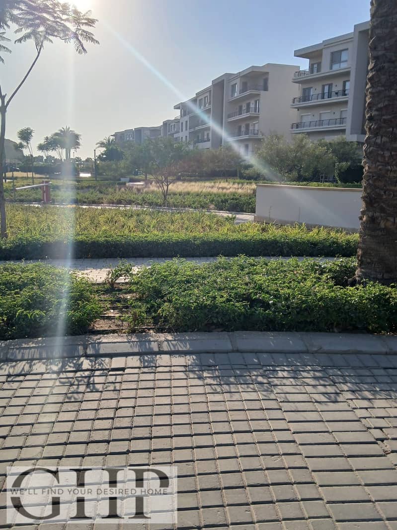 3 413a1d6f-0a09-4220-8e91-60e6456679c2. jpg