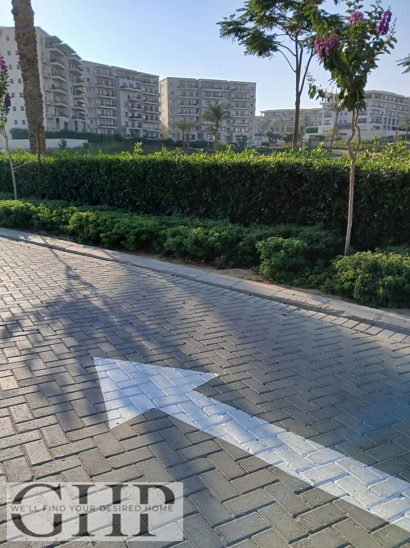 4 510bebf6-df0d-4fad-8e41-23b8c1e43212. jpg