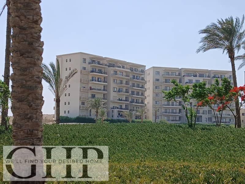 5 522dcc2d-d2fa-475f-ae9a-3675c61169df. jpg