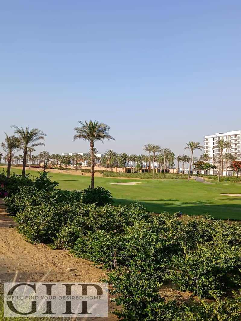 7 5a0d35ea-2efb-43b4-b6b4-0816fecacc67. jpg