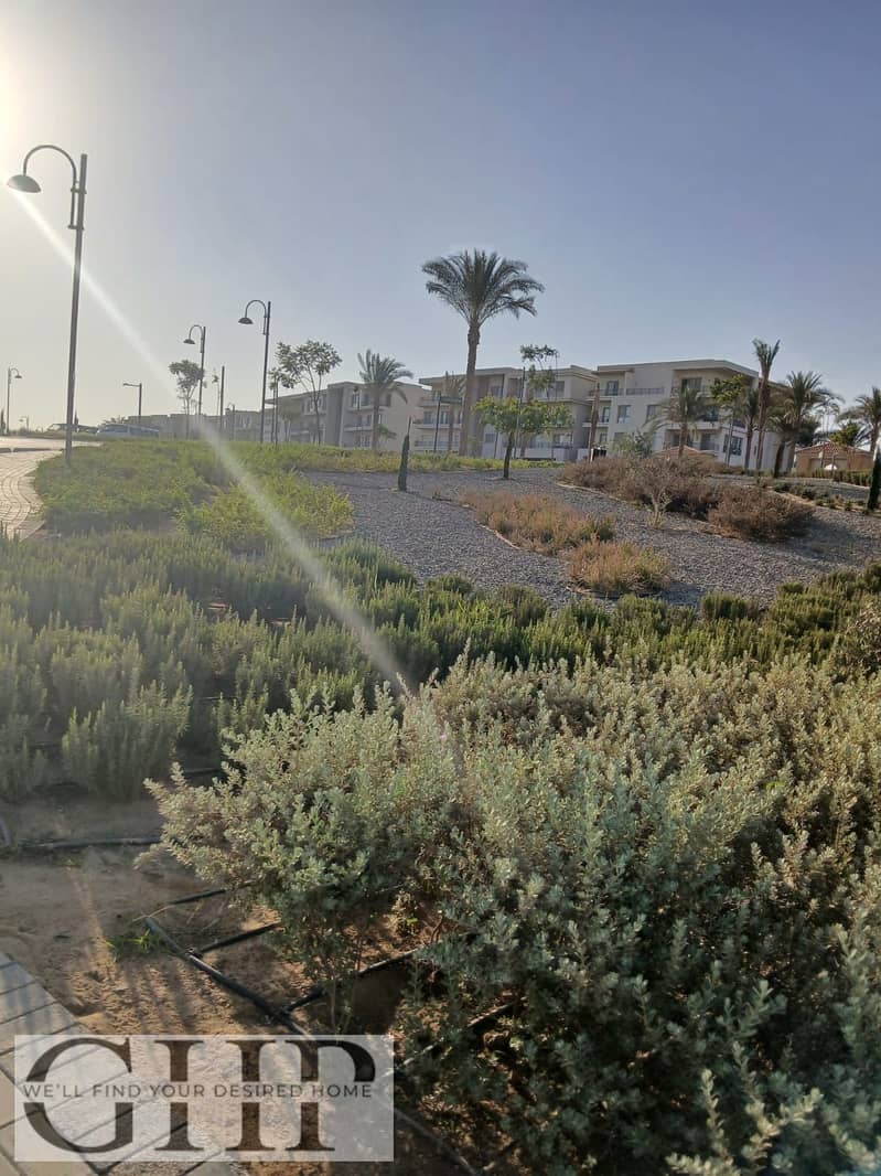 4 1cbb2392-9447-4264-91e6-3e26b47ea657. jpg