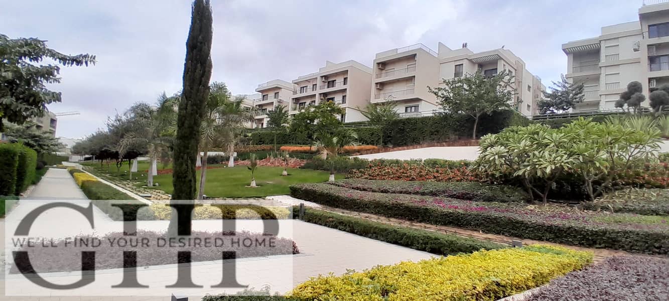 3 20251229_142409. jpg