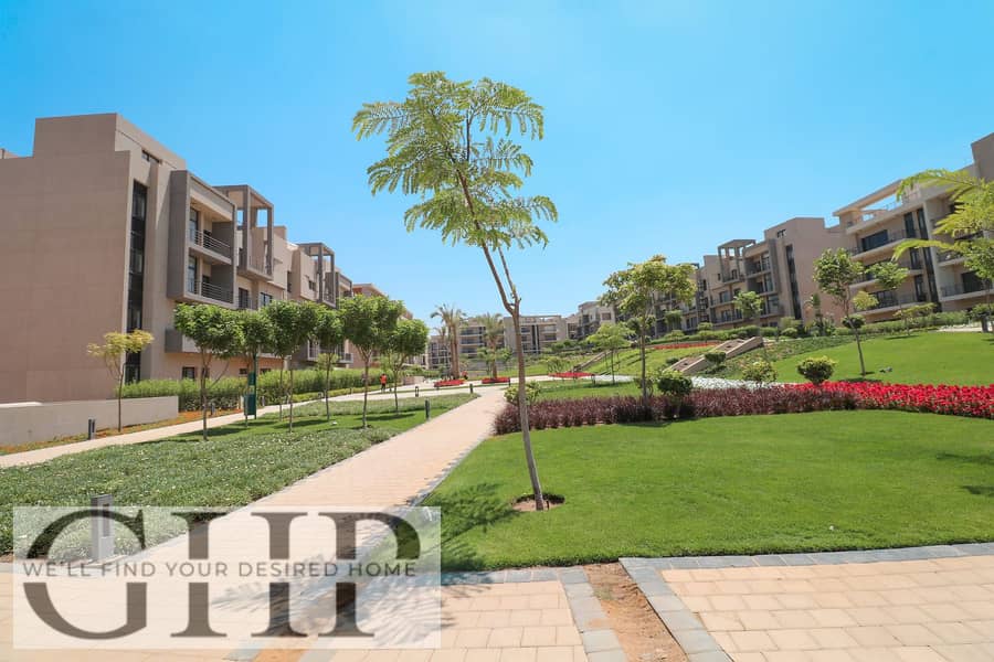 6 IMG_9433-copy. jpg