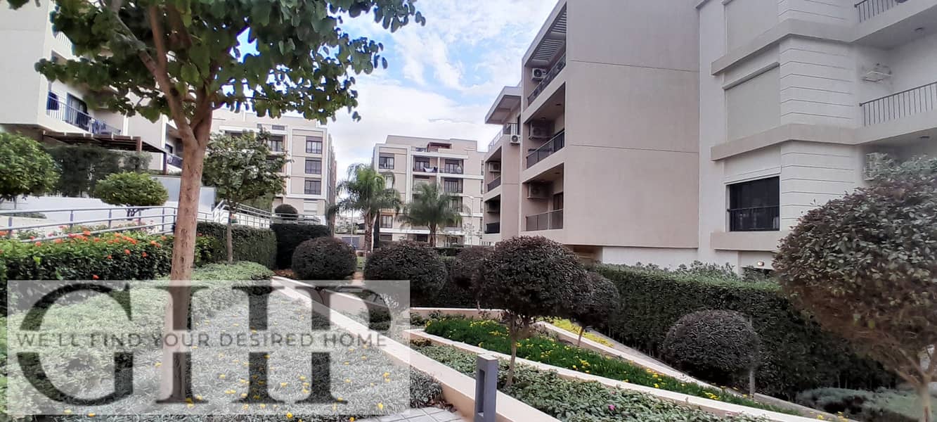 6 20251229_141343. jpg