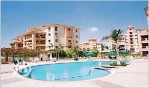 10 photo_3_2025-12-29_12-40-15. jpg