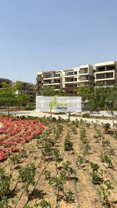 3 Bedroom Flat for Sale in New Cairo, Cairo - IMG-20240511-WA0345. jpg 3 Bedroom Flat for Sale in New Cairo, Cairo - IMG-20240511-WA0345. jpg