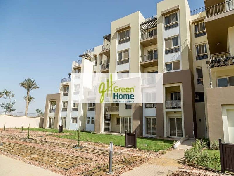 12 (12) (1) - Copy. jpg