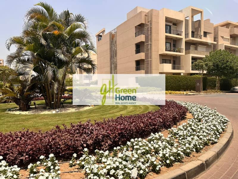 5 FB_IMG_1767437127285. jpg