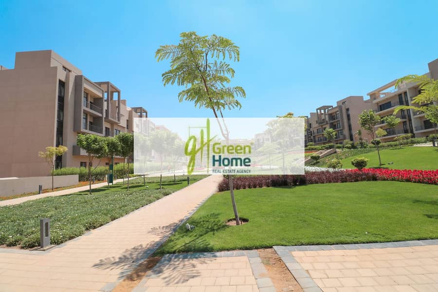 8 IMG_9433-copy. jpg