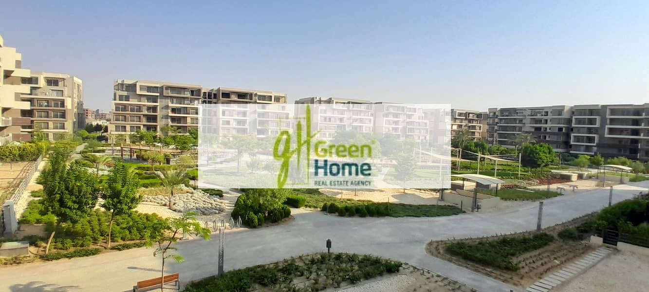 3 20250725_174053. jpg