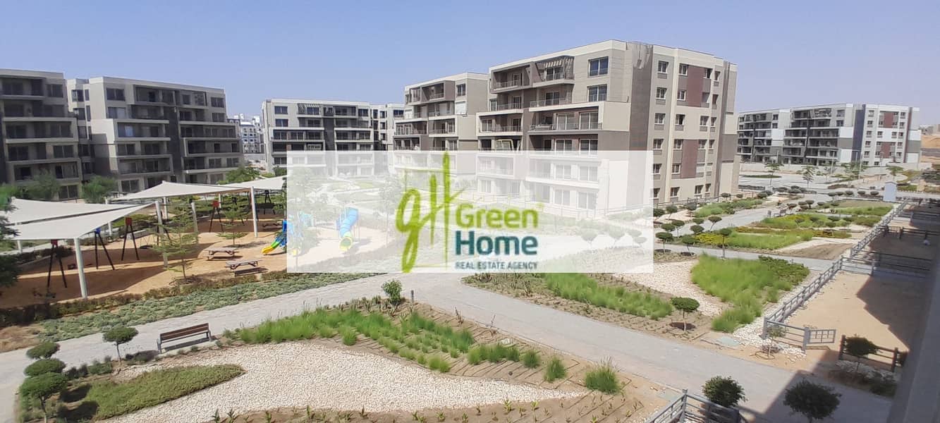 6 20250816_145833. jpg