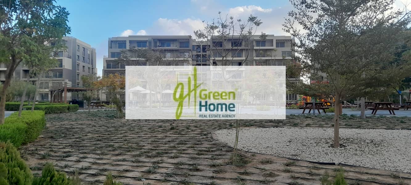 12 20260109_161944. jpg