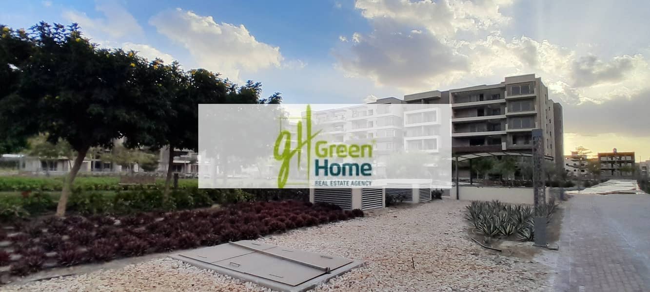 13 20260109_162030. jpg