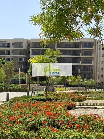 3 Bedroom Apartment for Sale in New Cairo, Cairo - WhatsApp Image 2026-01-04 at 10.52. 40 PM (1). jpeg 3 Bedroom Apartment for Sale in New Cairo, Cairo - WhatsApp Image 2026-01-04 at 10.52. 40 PM (1). jpeg