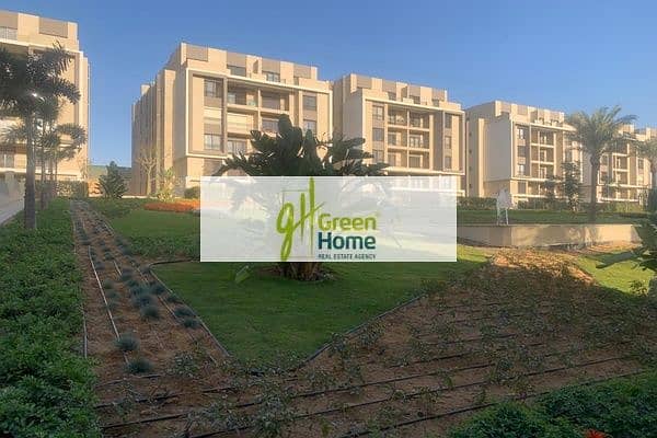 2 6e3f0384-cbf2-4a80-a665-58486d75efb3. jpg