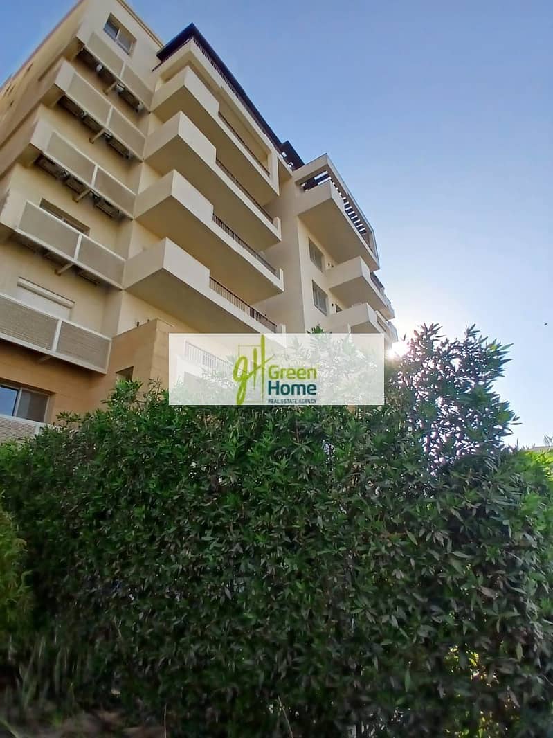 3 57546e43-0894-42ca-848f-efe396a6e194. jpg