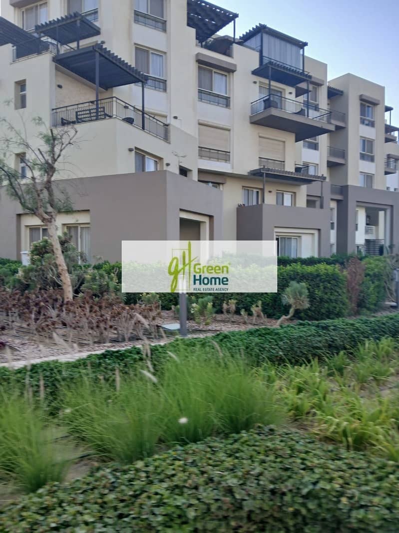 3 02adf6f8-324b-4237-a185-fd13c89b7707. jpg