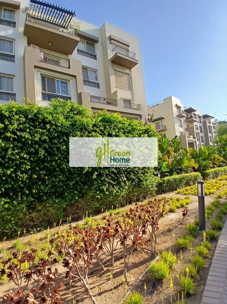 4 1b379f26-8df8-4a02-84d5-eaa15b7dcf2c. jpg