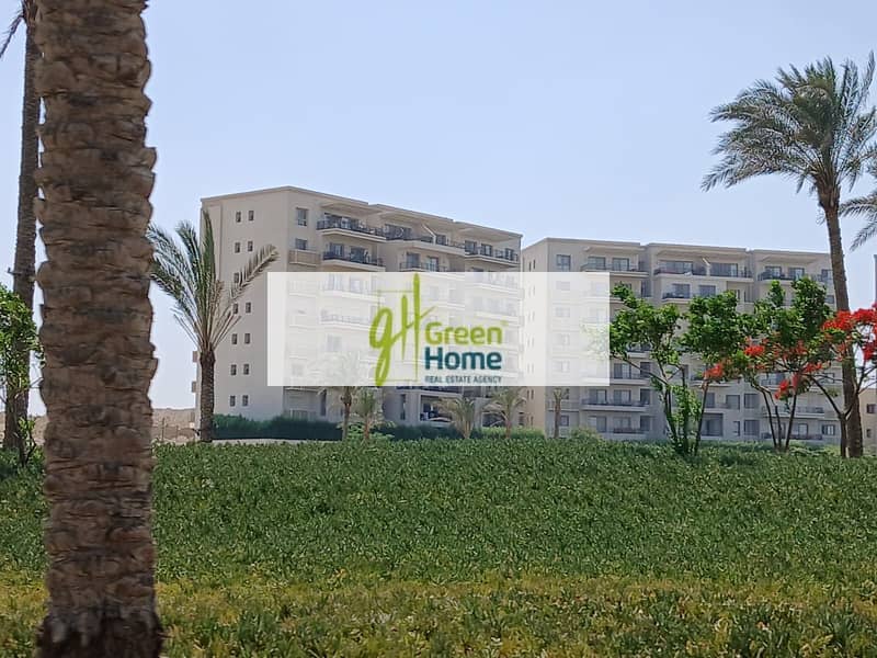 522dcc2d-d2fa-475f-ae9a-3675c61169df. jpg 522dcc2d-d2fa-475f-ae9a-3675c61169df. jpg