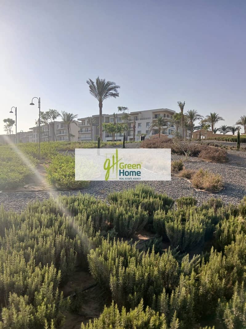 11 4e21371a-5ca8-44f6-bfa1-bdd5b4e719c9. jpg