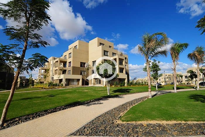 7 Palm-Parks-Palm-Hills. jpg