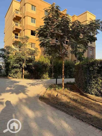 3 Bedroom Apartment for Rent in 6th of October, Giza - 113747. jpg