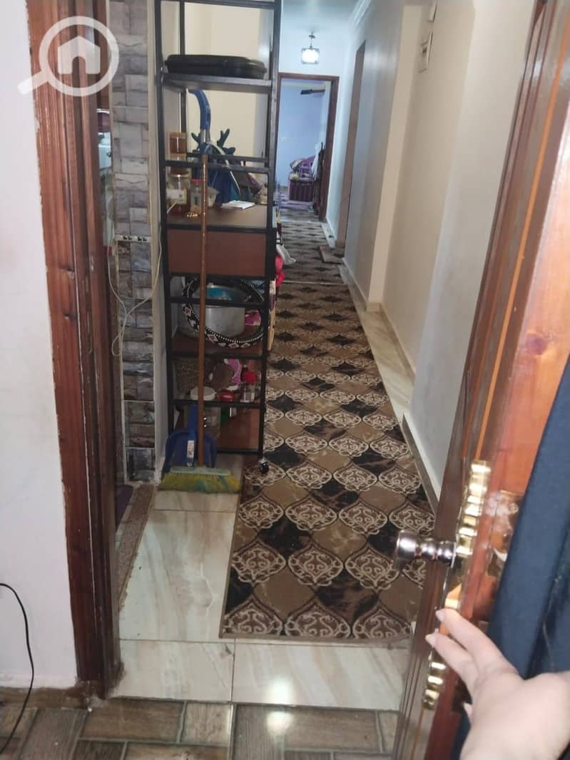 5 WhatsApp Image 2026-01-06 at 3.23. 35 PM (1). jpeg