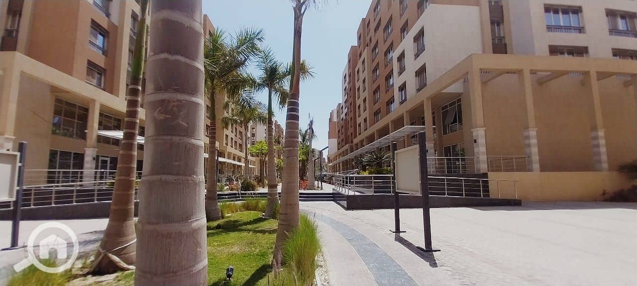 3 572a83d4-0bce-475c-ad74-952067882735. jpg