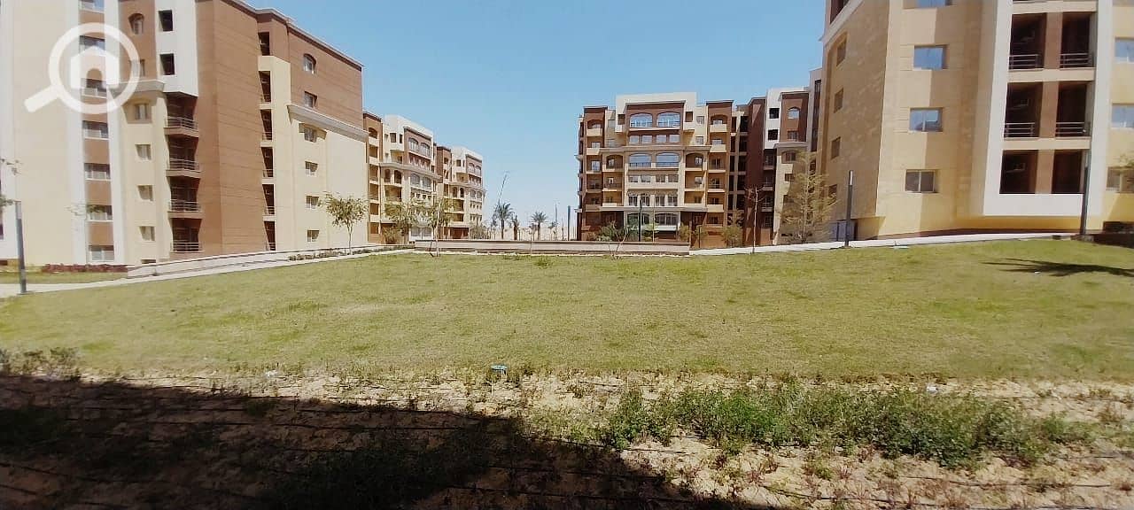 7 5e75ca73-5adc-4c2f-a5b0-055178f054f9. jpg