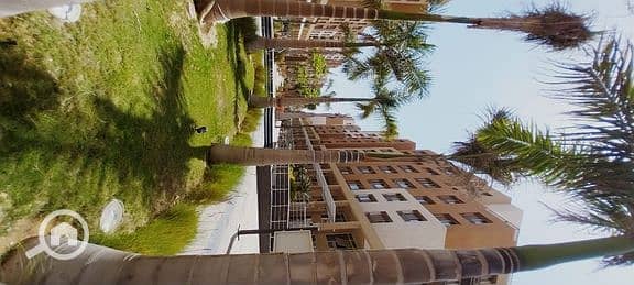 8 09d489fb-d5ec-4d67-90d3-b0136ef33f93. jpg