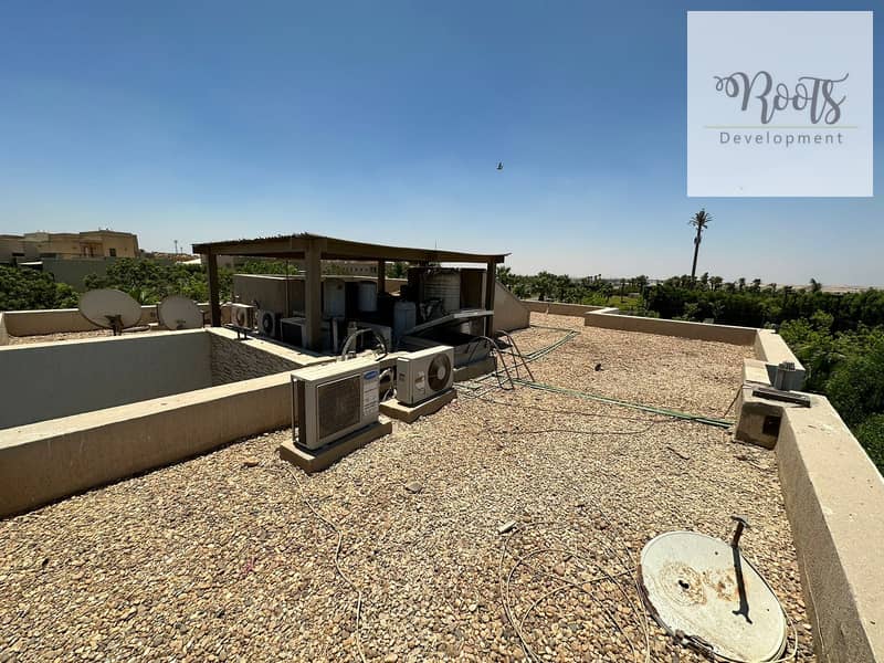 16 WhatsApp Image 2023-07-12 at 14.19. 41 (2). jpeg