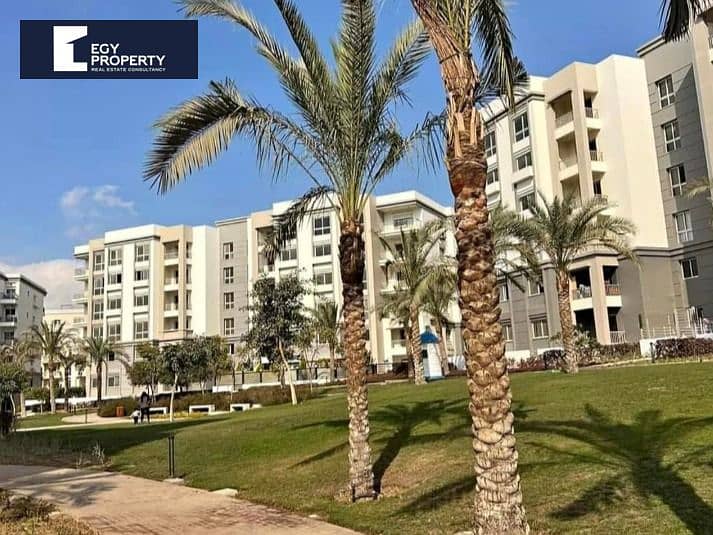 6 WhatsApp Image 2024-10-17 at 6.50. 14 AM (1). jpeg