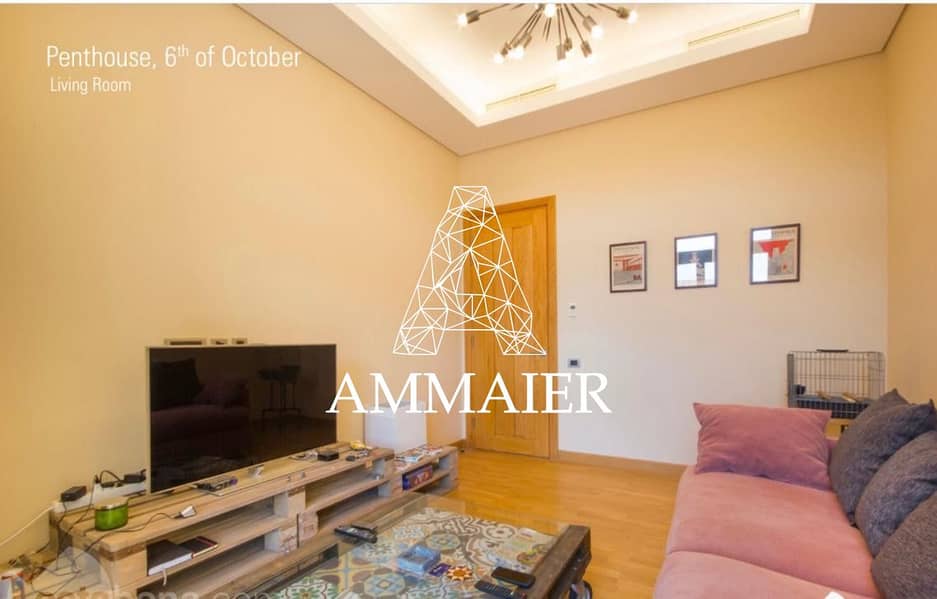 6 a3560598-403f-4f20-8946-528c742e25e6. jpg