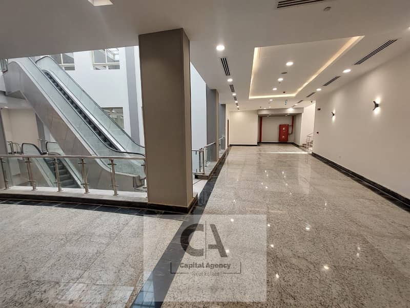 6 01b1d418-38ab-494b-a8bf-a5bcd990c5a9. jpg