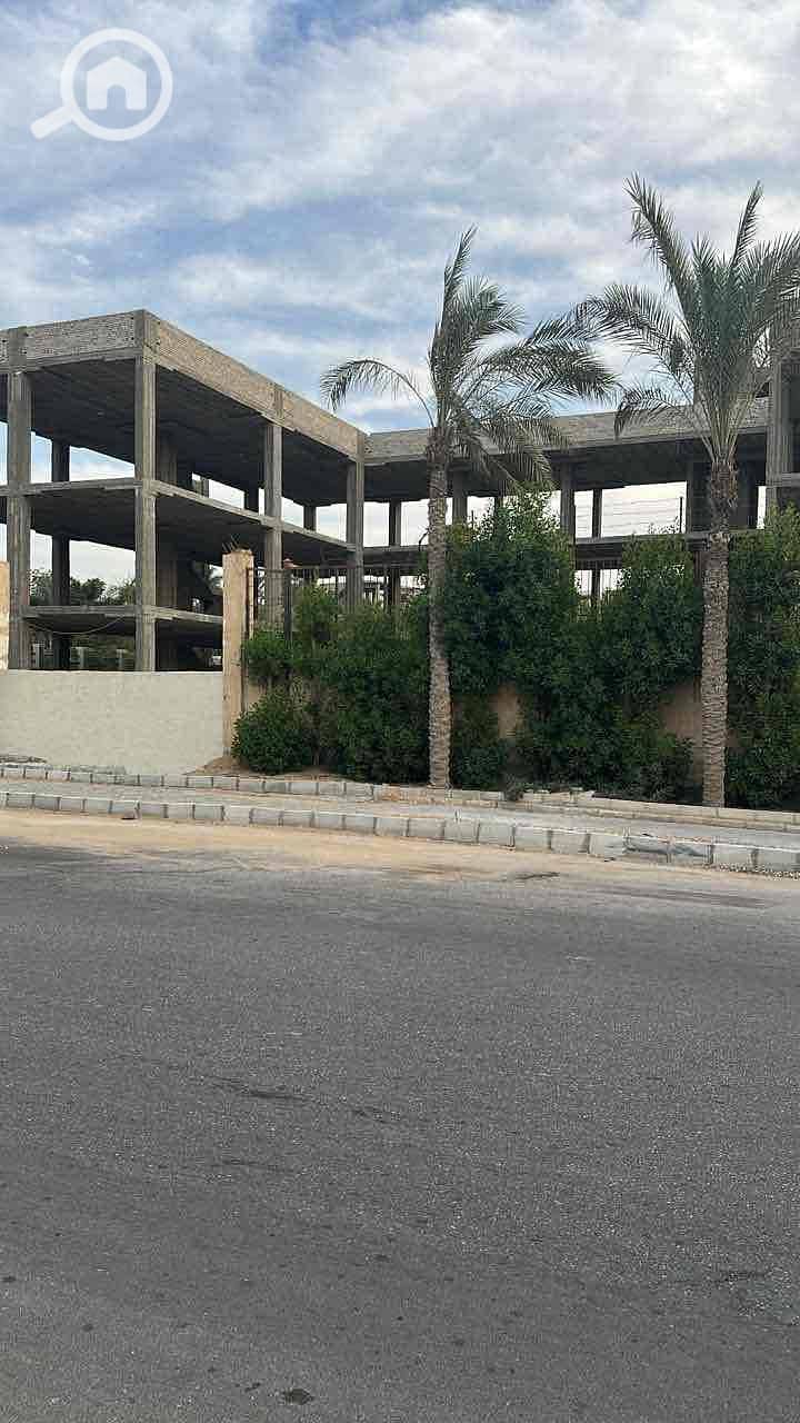 4 8591ea3c-c238-4ee7-8163-7f5c70d7f35c. jpg