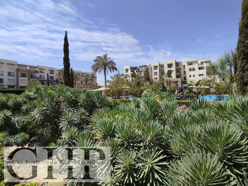 8 WhatsApp Image 2024-07-15 at 13.23. 32_5f256b1f. jpg