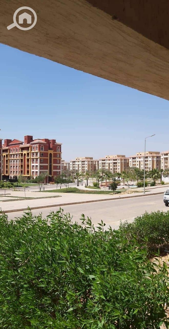 18 372b9459-1579-4a8b-933f-8bd9e8ac1879. jpg