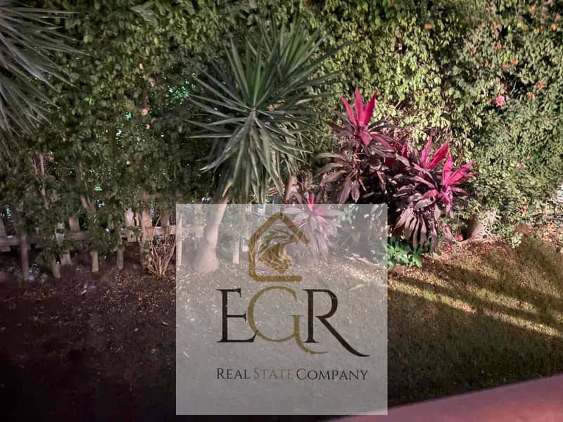 5 dbe7e01b-086b-4a23-b660-8c54e64a32df. jpg