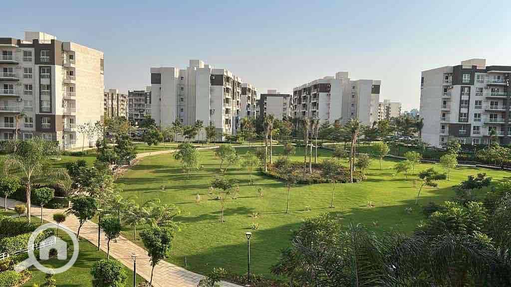 2 a204afa2-7119-4a3c-8c25-1d55f5f58503. jpg