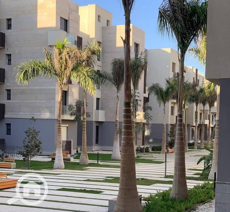 13 WhatsApp Image 2025-05-29 at 2.57. 48 PM (2). jpeg