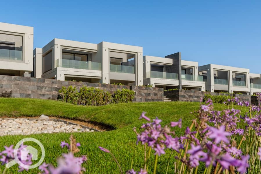 5 WhatsApp Image 2025-08-09 at 10.56. 50 AM (1). jpeg