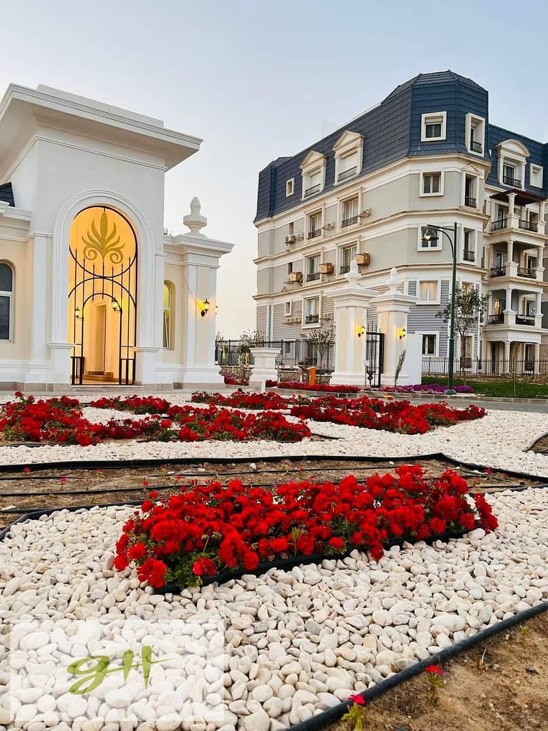 6 448899168_450225821302683_8710517493249778583_n. jpg