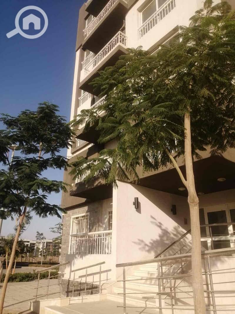 17 261de467-2082-4a3b-98af-af0da0b58d76. jpg