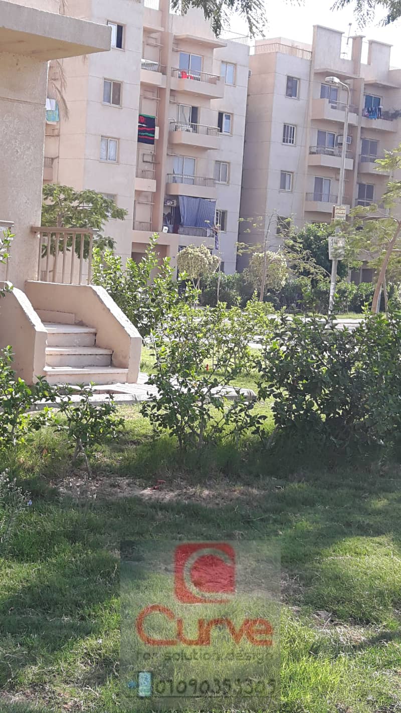 11 20160928_144926. jpg