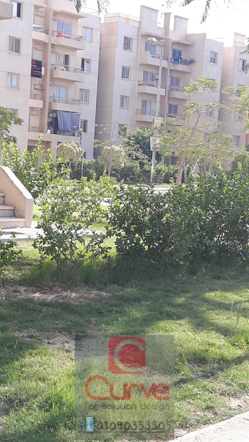 12 20160928_144929. jpg