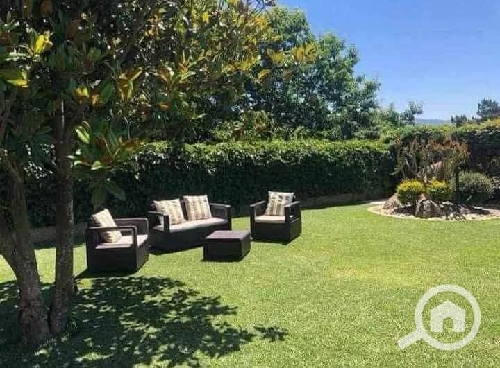 6 FB_IMG_1746859804054. jpg