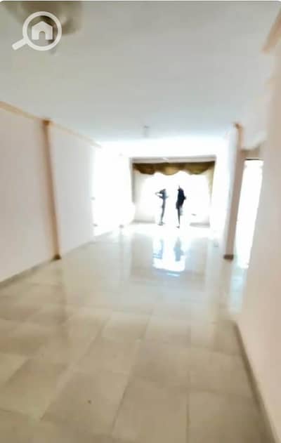 شقة 3 غرف نوم للايجار في سموحة، الإسكندرية - 599867033_830628693128176_6411689228931936760_n. jpg