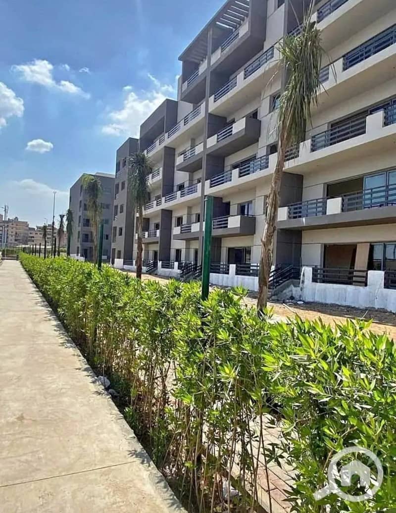 8 591716903_122160489662795769_8487852183725390763_n. jpg